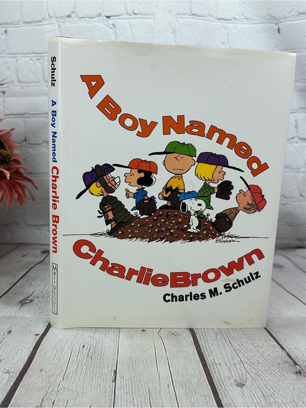 vtg 2001 a boy names charlie brown Peanuts Coffee Table Book fandom Character